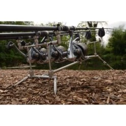 Patas Rechonchas De La Vaina Solar P1