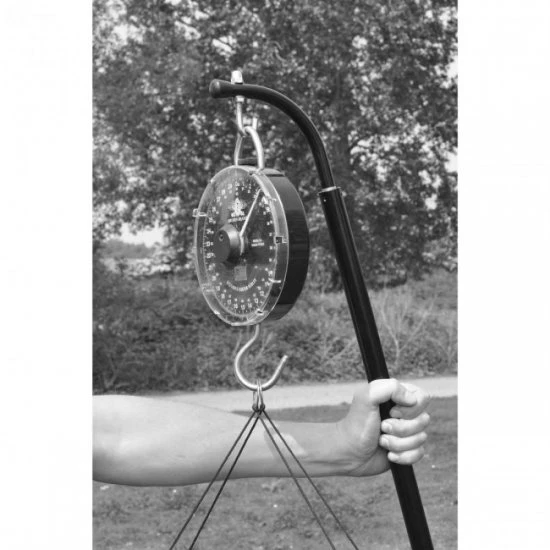 Gancho De Pesaje Cygnet Easylift 2 Gancho De Pesaje Cygnet Easylift - Imagen 2