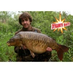DYNAMITE BAITS Pasta De Toba Dinamita Crave Boilie Y Envoltura De Plomo -Tienda De Pesca dynamite complex t 12mm 1kg boilies team outdoors nl a20764 550x550w 2