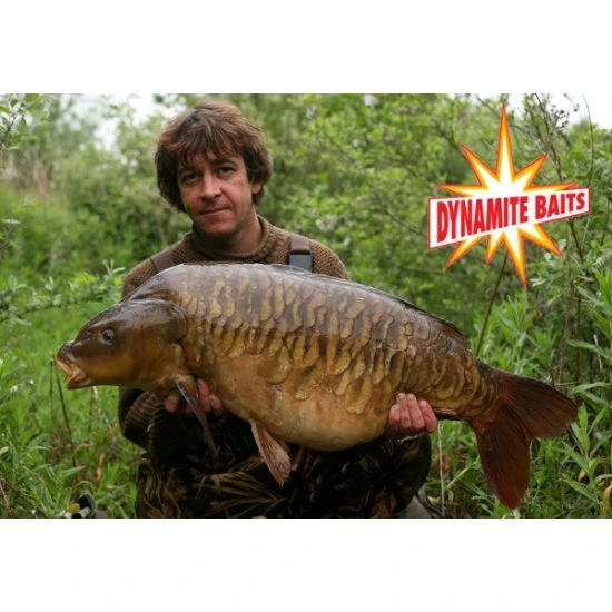 DYNAMITE BAITS Mezcla Base De Boilies De Fuente De Dinamita 1kg 2 DYNAMITE BAITS Mezcla Base De Boilies De Fuente De Dinamita 1kg - Imagen 2