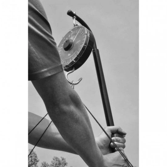 Gancho De Pesaje Cygnet Easylift 3 Gancho De Pesaje Cygnet Easylift - Imagen 3