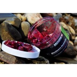 CC Moore Bloodworm Hookbait Wafters 10x14mm -Tienda De Pesca worm 2 team outdoors 550x550w