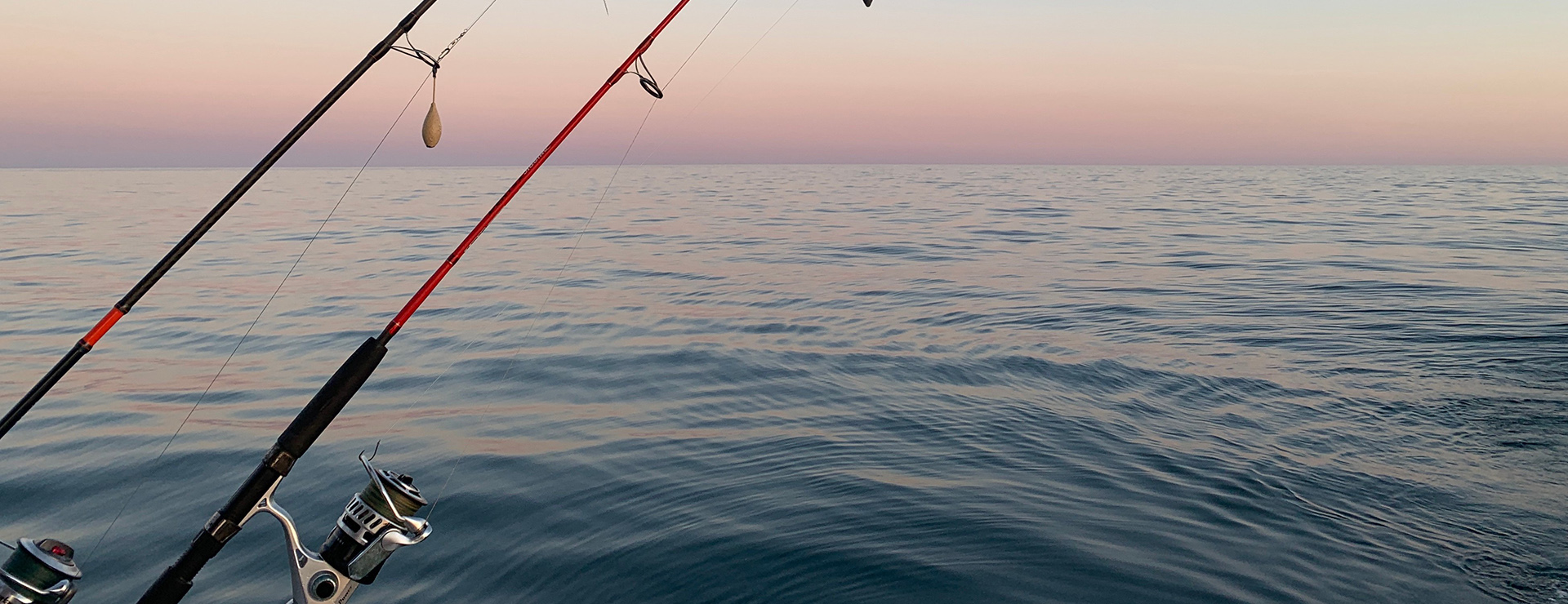 Tienda De Pesca 1 Tienda De Pesca -Tienda De Pesca photo 1595886565824 b4f5c5a9c2d5